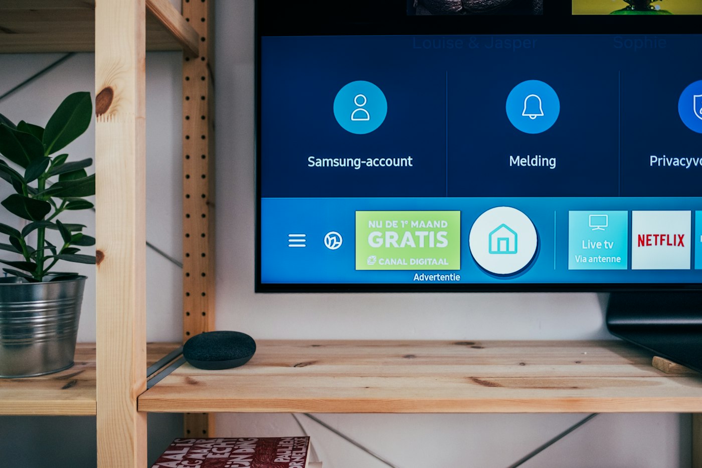 A television on a wooden shelf, with a plant beside it